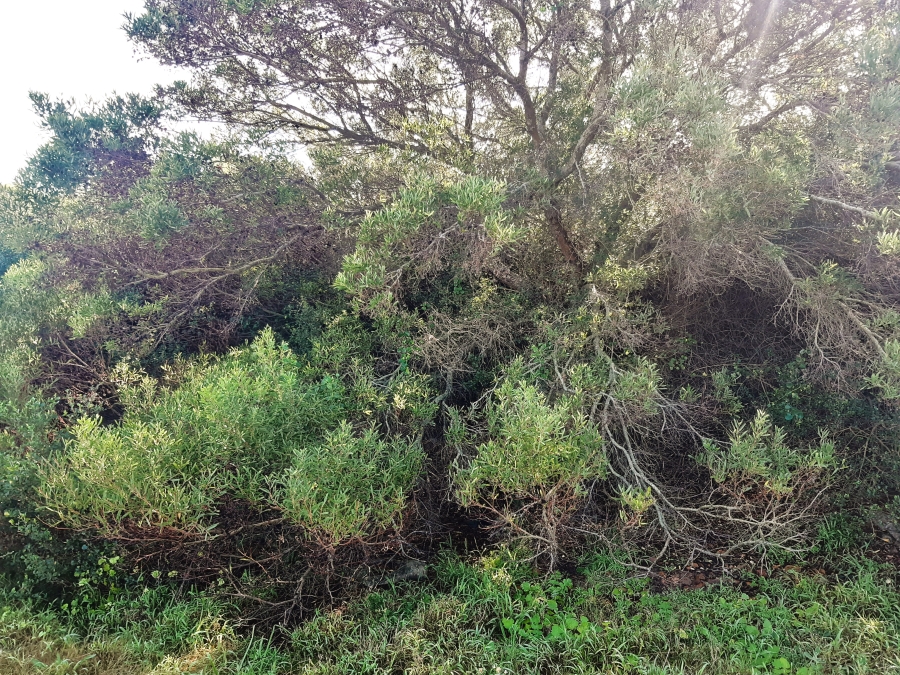 0 Bedroom Property for Sale in Paradise Beach Eastern Cape